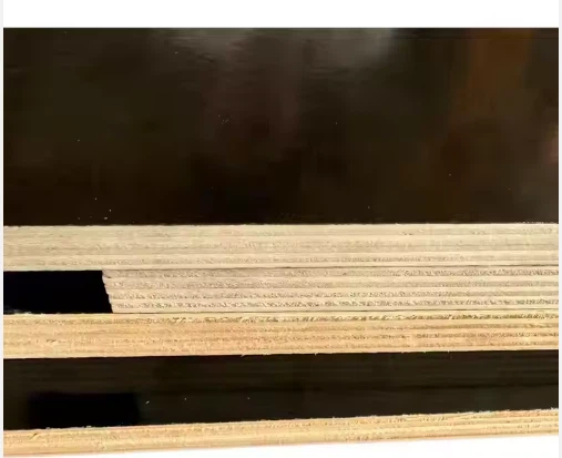 _20240925184935